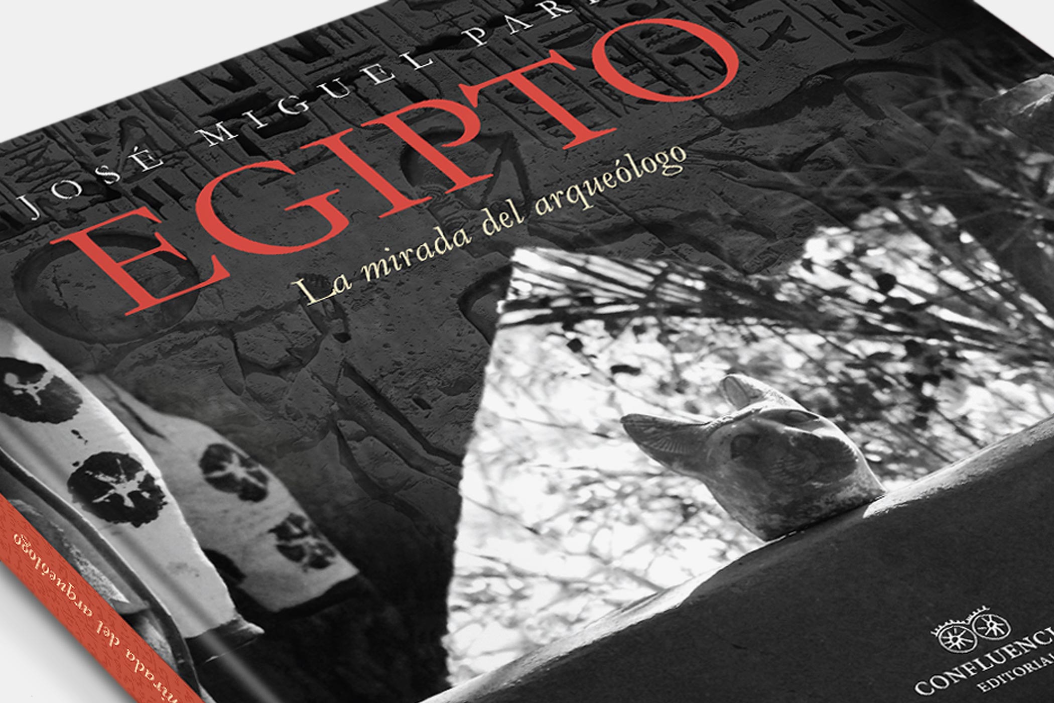 Egipto La Mirada del Arqueólogo - José Miguel Parra